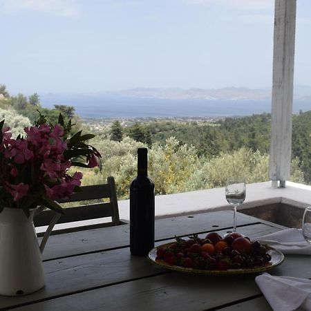 Παραδοσιακό Σπίτι Villa Asfendiou Luaran gambar